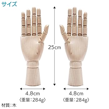 Amazon | ENN LLC デッサン ドール 木製 ハンドモデル ウッド